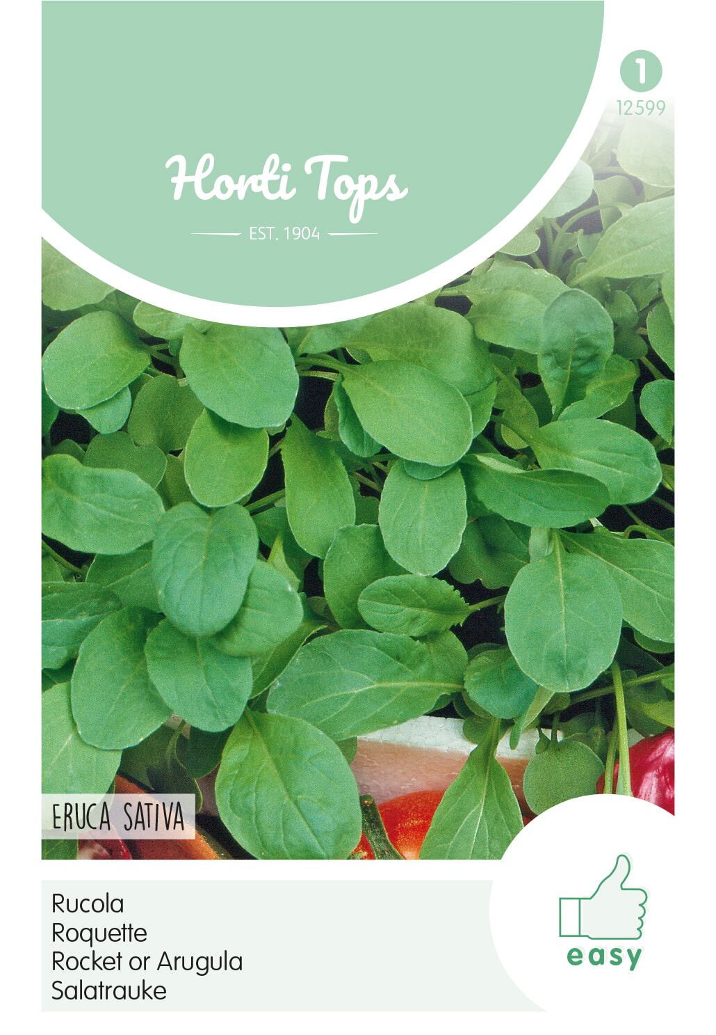 HT Rucola Zaden Eruca Sativa