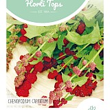 HT Aardbeispinazie Zaden