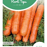 HT Winterwortel Zaden Berlikumer 2