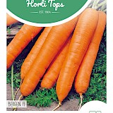 HT Winterwortel Zaden Bergen F1