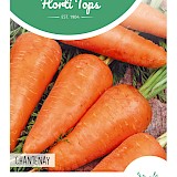 HT Wortel Zaden Chantenay