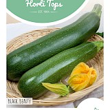 HT Courgette Zaden Black Beauty