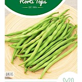 HT Stamslabonen Zaden Haricot Vert Argus 15g