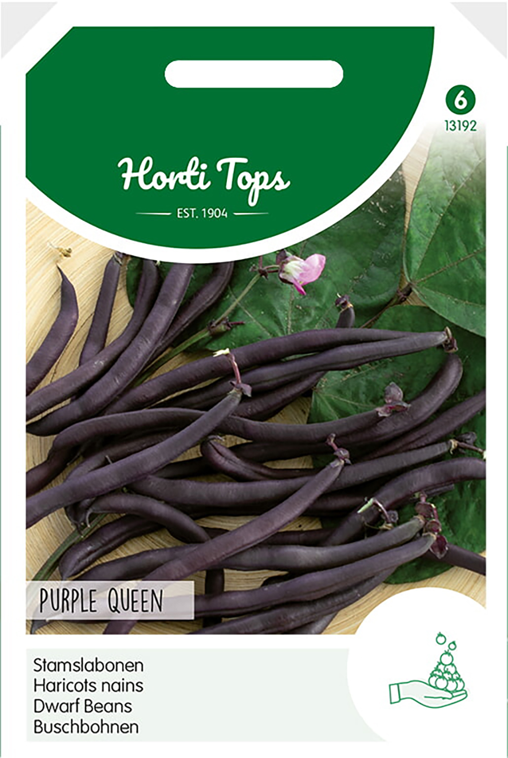 HT Stamslabonen Zaden Purple Queen 100g