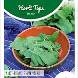 HT Spinazie Zaden Amsterdams Reuzenblad 100g