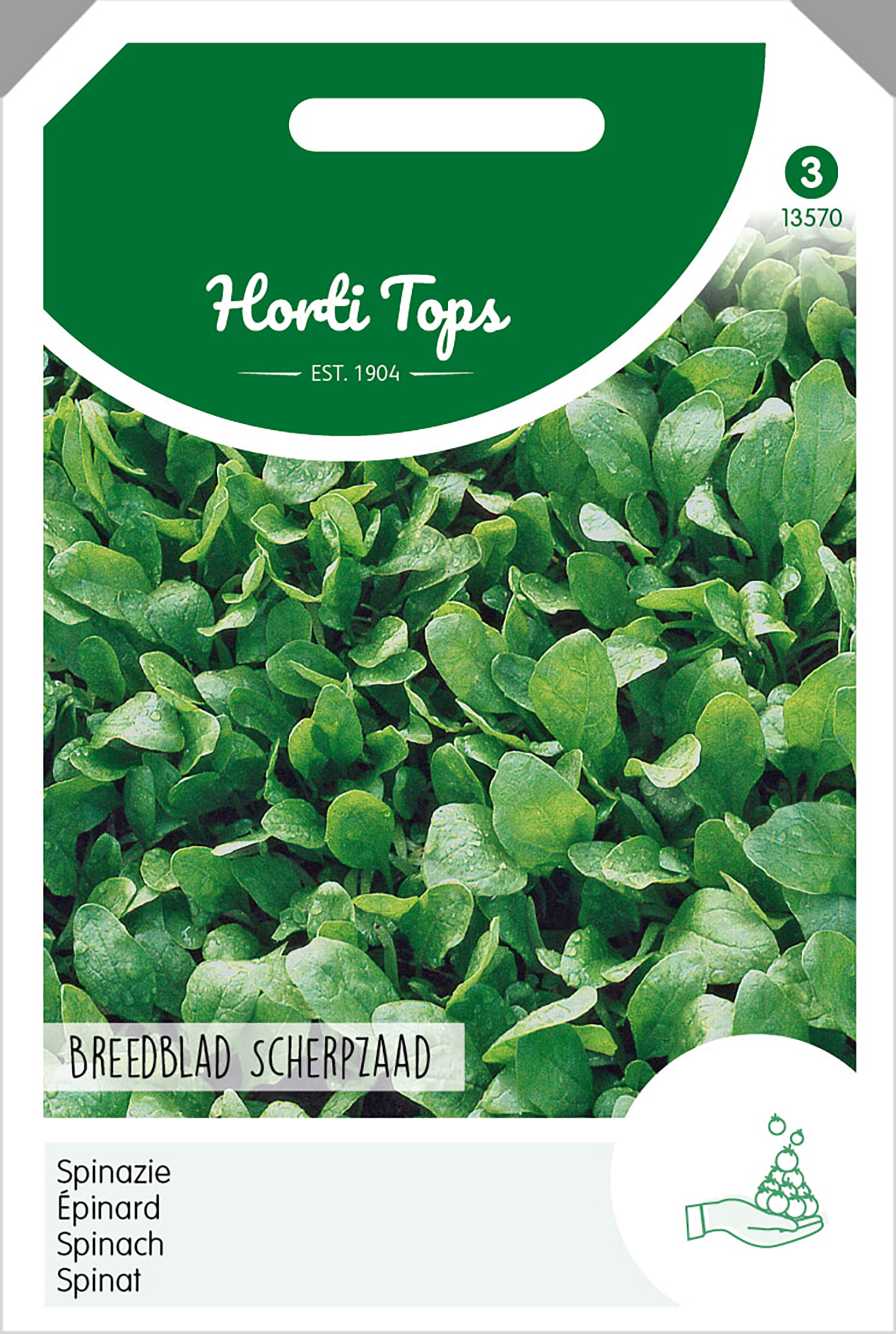 HT Spinazie Zaden Breedblad Scherpzaad 50g