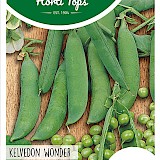 HT Doperwten Zaden Kelvedon Wonder 250g
