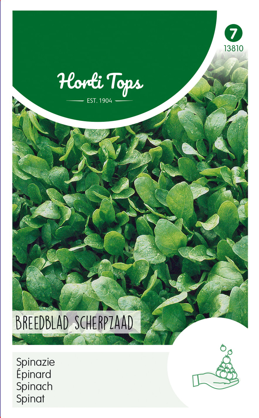 HT Spinazie Zaden Breedblad Scherpzaad 250g