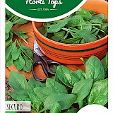 HT Spinazie Zaden Securo 250g