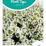 HT Alyssum Zaden Sneeuwkleed