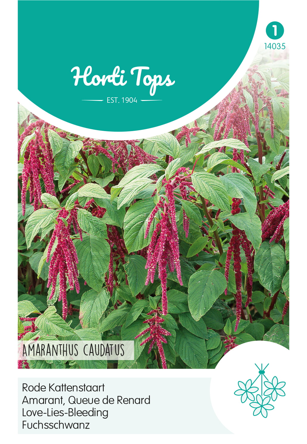HT Rode Kattenstaart Zaden Amaranthus Caudatus