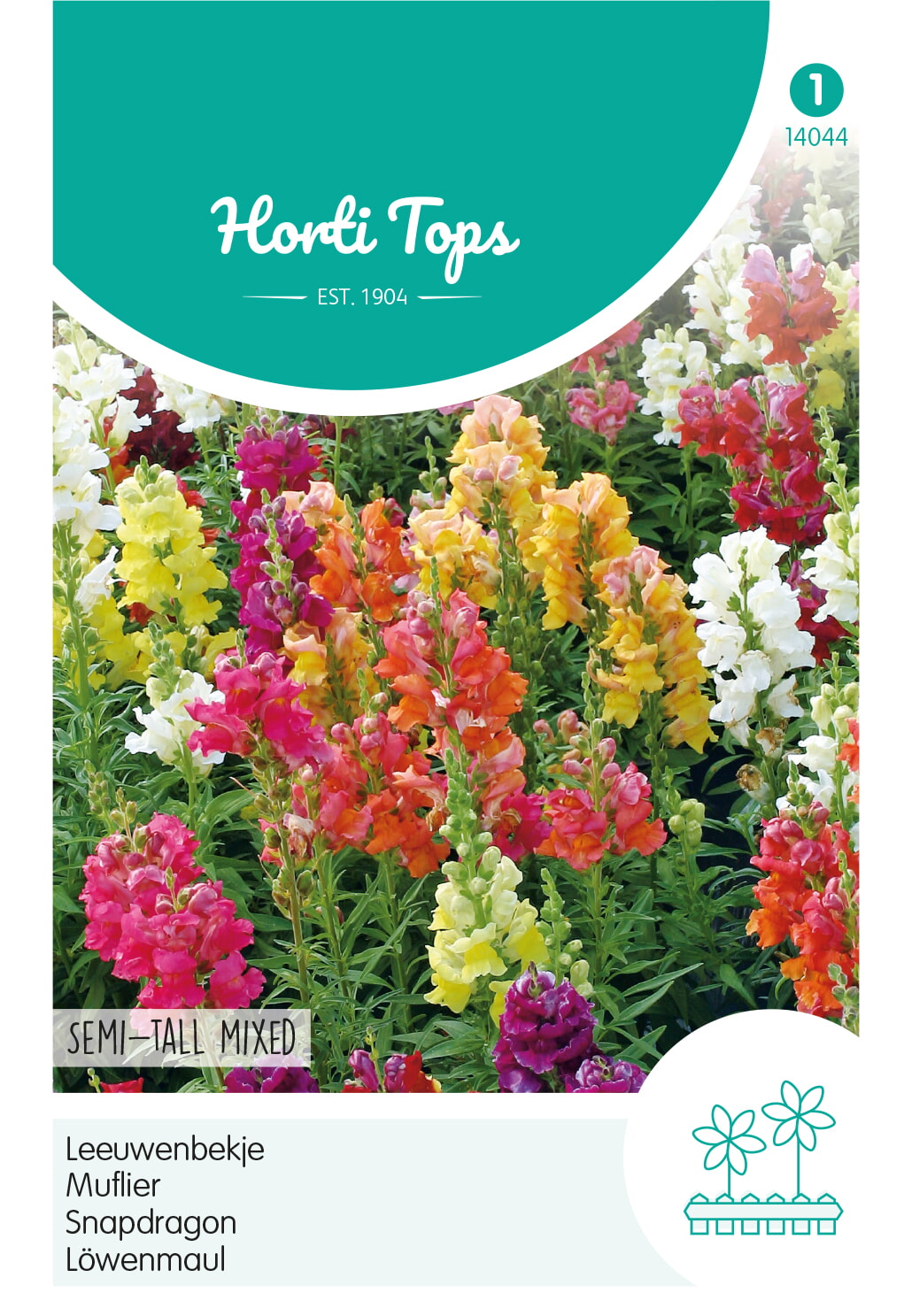 HT Leeuwenbekje Zaden Half-Hoge Gemengd