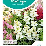 HT Leeuwenbekje Zaden Tom Thumb
