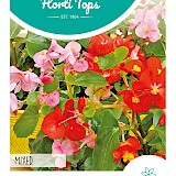 HT Tuinbegonia Zaden Gemengd
