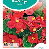 HT Begonia Zaden F1 Rode Komeet