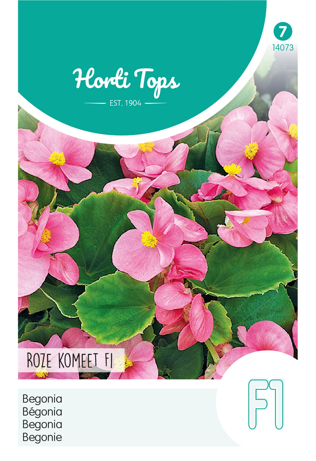 HT Begonia Zaden Roze Komeet F1