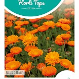HT Goudsbloem Zaden Ball's Oranje