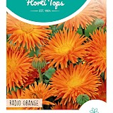 HT Goudsbloem Zaden Radio Orange