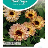 HT Goudsbloem Zaden Touch Of Red Buff