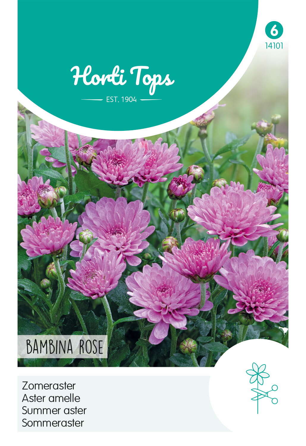 HT Zomeraster Zaden Bambina Rose