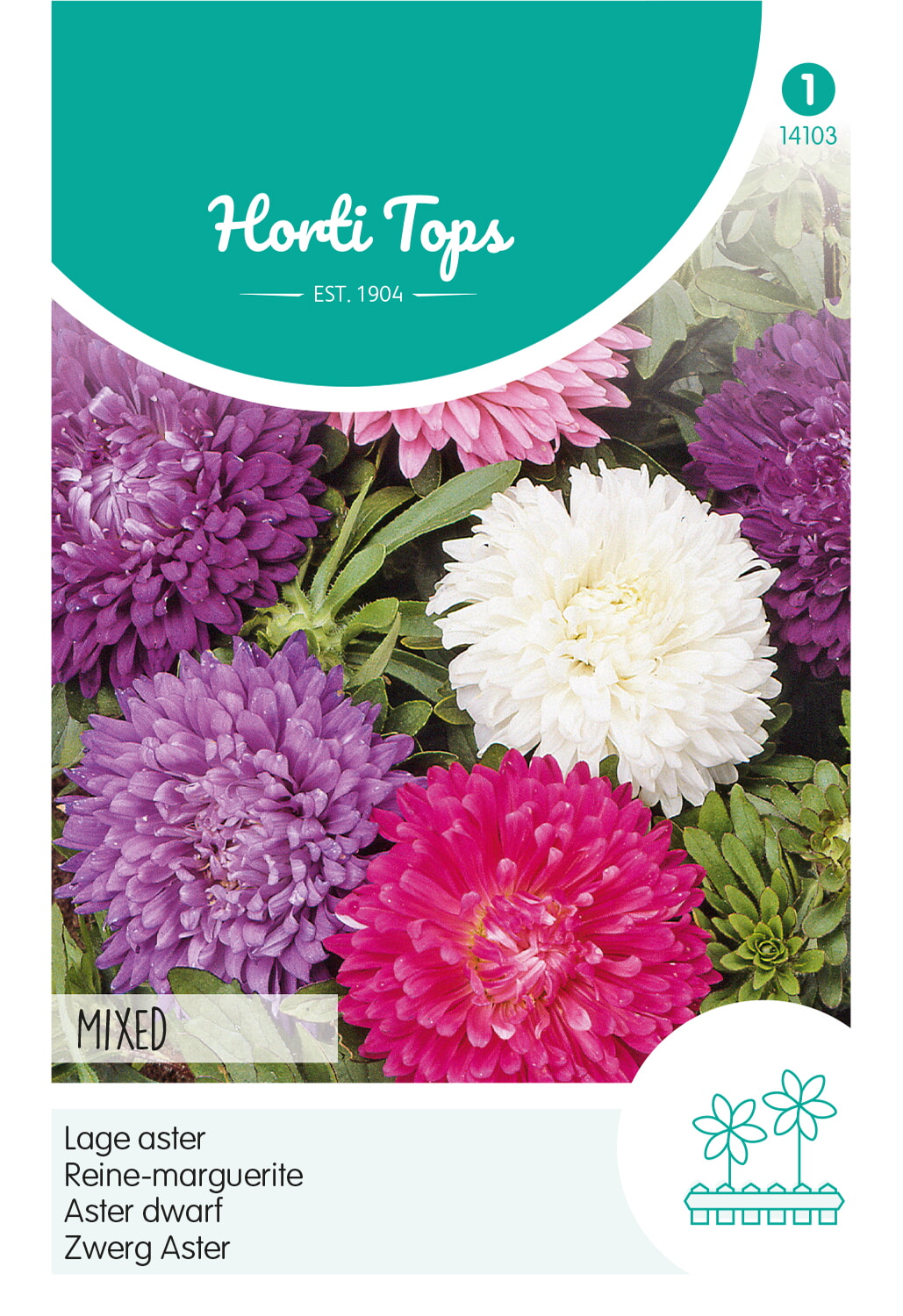HT Lage Aster Zaden Gemengd