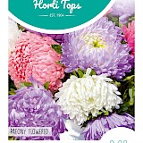HT Zomeraster Zaden Paeony Flowered