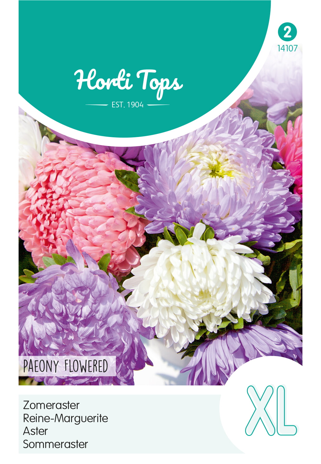 HT Zomeraster Zaden Paeony Flowered