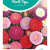 HT Zomeraster Zaden Pompon