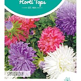 HT Zomeraster Zaden Struisveder