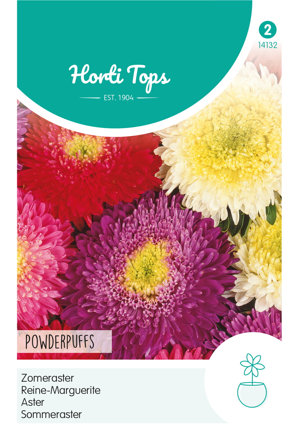 HT Zomeraster Zaden Powderpuff