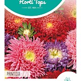 HT Zomeraster Zaden Princesse
