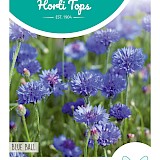 HT Korenbloem Zaden Blue Ball