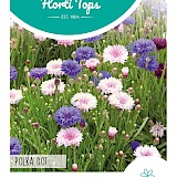 HT Korenbloem Zaden Polka Dot
