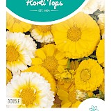 HT Chrysant Zaden Double