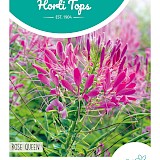 HT Kattensnor Zaden Rose Queen