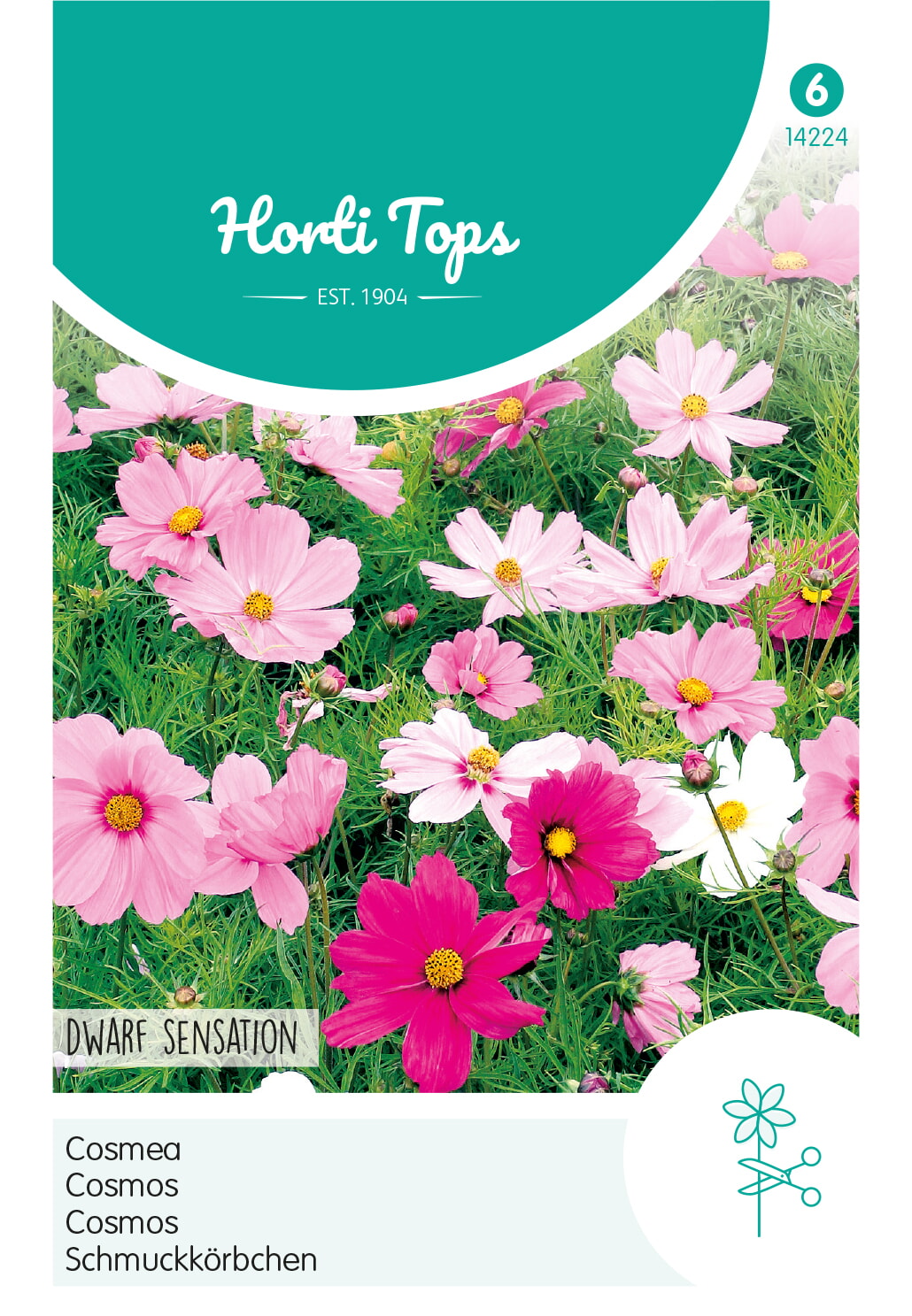 HT Cosmea Zaden Dwarf sensation