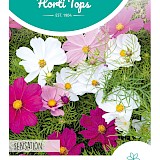 HT Cosmea Zaden Sensation