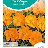 HT Cosmea Zaden Sunset