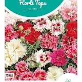 HT Chinese Anjer Zaden Gemengd