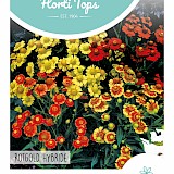 HT Zonnekruid Zaden Rotgold Hybride