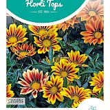 HT Gazania Zaden Sunshine