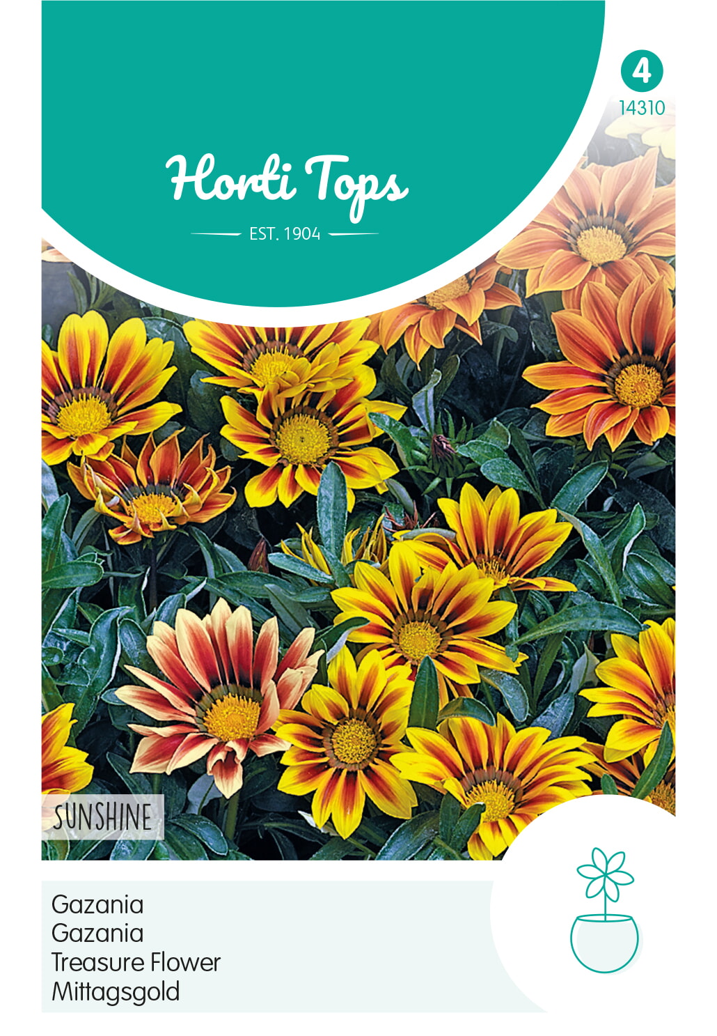 HT Gazania Zaden Sunshine