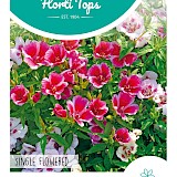 HT Zomerazalea Zaden Enkelbloemig Gemengd