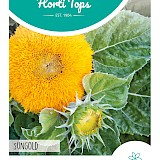 HT Zonnebloem Zaden Sungold
