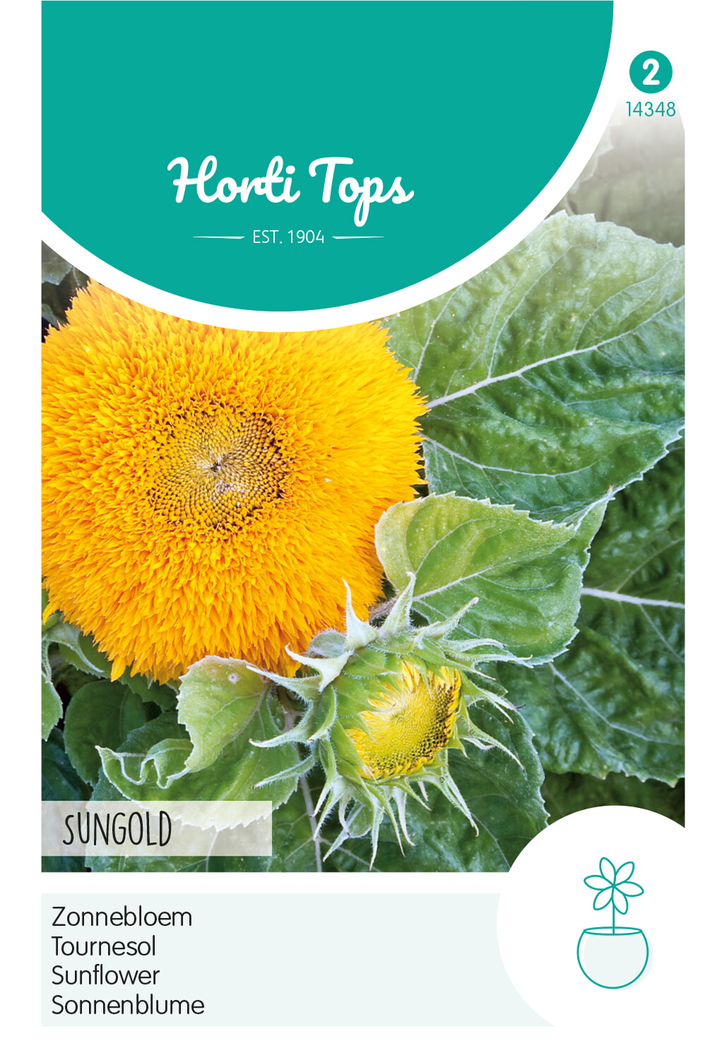 HT Zonnebloem Zaden Sungold