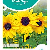 HT Zonnebloem Zaden Stella