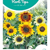 HT Zonnebloem Zaden Gemengd