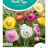 HT Lage Strobloem Zaden Tom Thumb