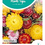 HT Hoge Strobloem Zaden Monsgrosum