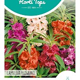 HT Balsamien Zaden Camellia Flowered